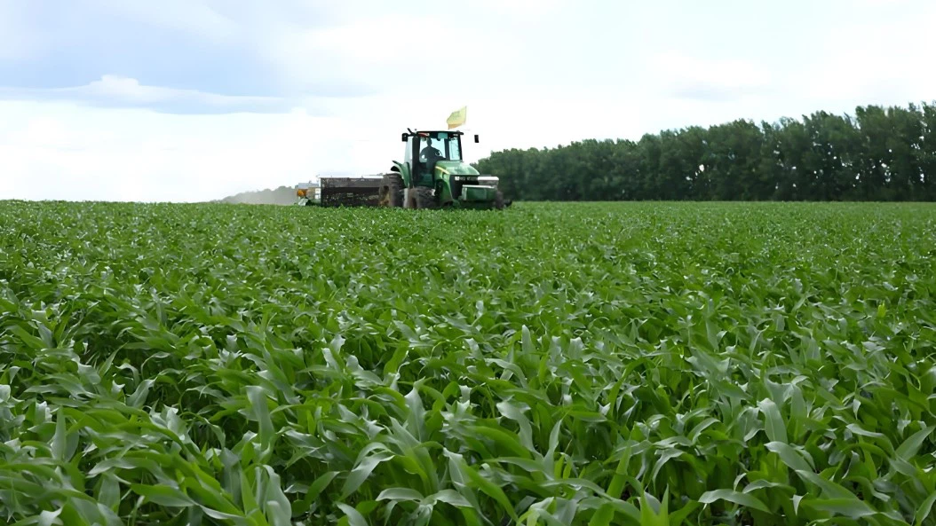 NK compound fertilizer,NPK Fertilizer,NPK for agriculture NK compound fertilizer,NPK Fertilizer,NPK for agriculture